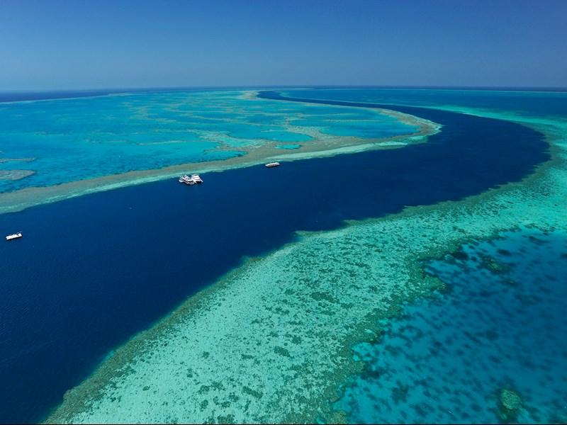 Things To Do On Hamilton Island Whitsundays Great Barrier Reef